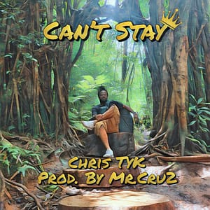 CHRIS TYK - CANT STAY